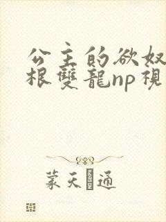 公主的欲奴h四根双龙np视频