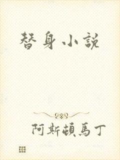 替身小说封面