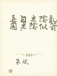 长日光阴乱作一团光阴似箭眇眇翟封面