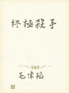 终极杀手封面