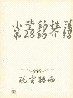 小莹的性荡生活第28的介绍封面