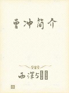 曹冲简介封面