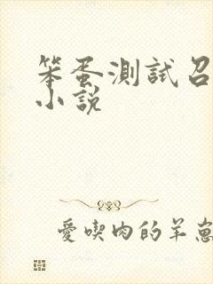 笨蛋测试召唤兽小说