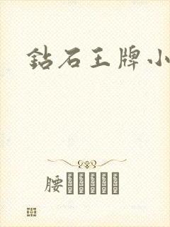 钻石王牌小说封面