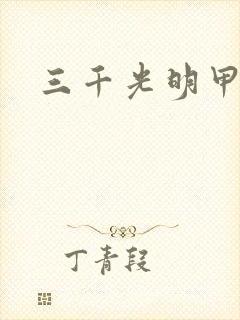 三千光明甲