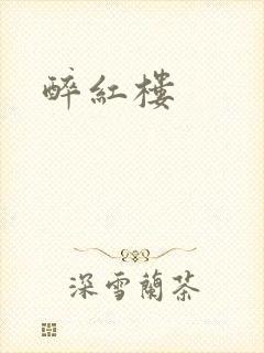 醉红楼封面