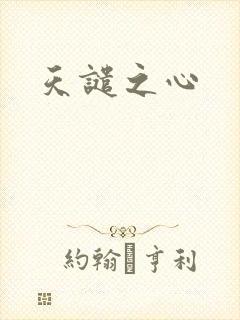 天谴之心封面
