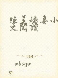 绝美娇妻小说全文阅读