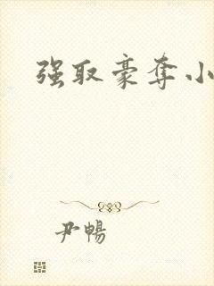 强取豪夺小说