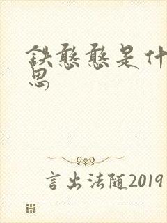 铁憨憨是什么意思