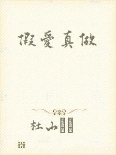 假爱真做