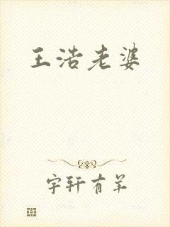 王浩老婆