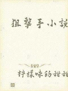 狙击手小说