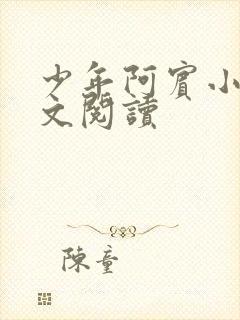 少年阿宾小说全文阅读