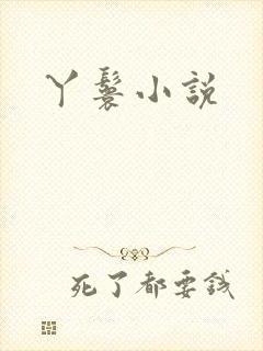 丫鬟小说