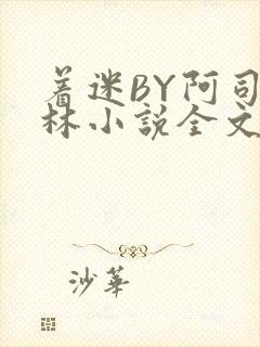 着迷BY阿司匹林小说全文免费阅读封面