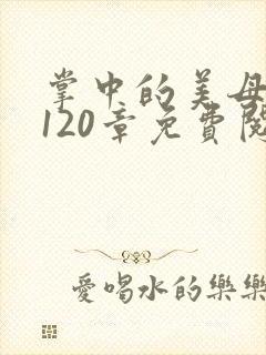 掌中的美母版主120章免费阅读