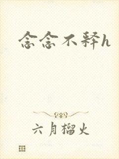 念念不释h