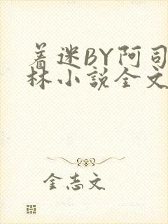 着迷BY阿司匹林小说全文免费阅读