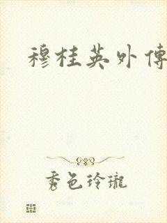 穆桂英外传封面