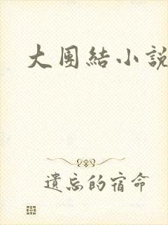 大团结小说下载