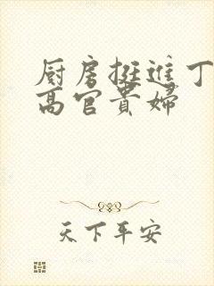厨房挺进丁字裤高官贵妇