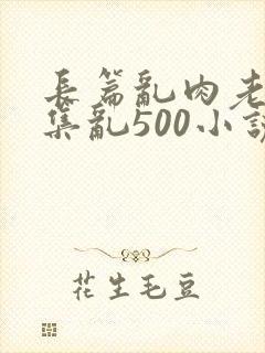 长篇乱肉老师合集乱500小说封面