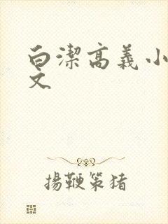 白洁高义小说全文