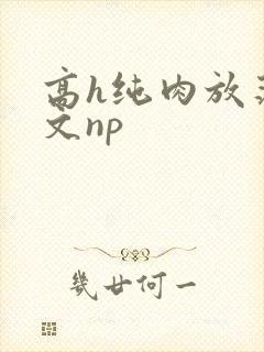 高h纯肉放荡h文np