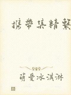 携带集精系统