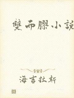 双面胶小说