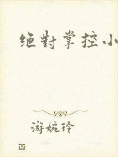 绝对掌控小说封面