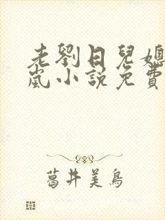 老刘日儿媳妇张岚小说免费阅读封面