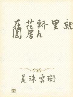 在花轿里就开始圆房h
