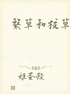 系草和校草