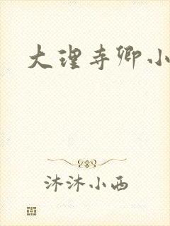 大理寺卿小说