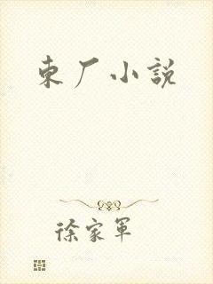 东厂小说