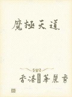 魔极天道封面