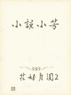 小说小芳