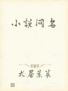 小说网名