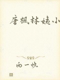 唐枫林姨小说