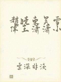 赵晓东吴雪晴郑伟王潇潇小说名字
