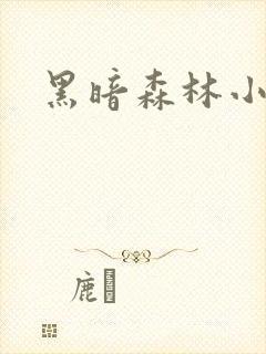 黑暗森林小说