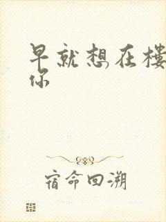 早就想在楼梯要你