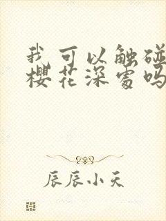 我可以触碰你的樱花深处吗