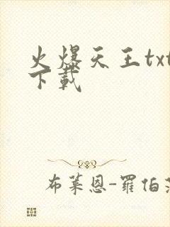 火爆天王txt下载