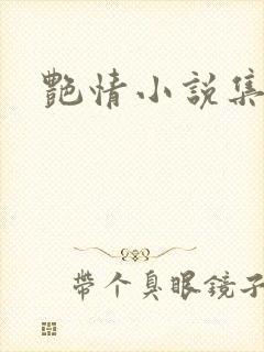 艳情小说集封面
