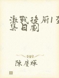 激战后厨1至5集日剧