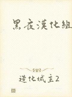 黑夜汉化组