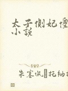 太子侧妃傻乎乎小说